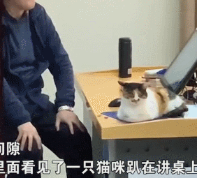 猫咪为取暖跑进了教室，被迫当起了“助教”：你们看我可爱吗？-第3张图片-90博客网