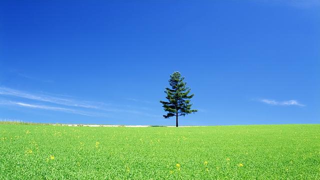 男孩名字大全：《周易》英俊潇洒的男宝名字，带有生生不息的希望-第3张图片-90博客网