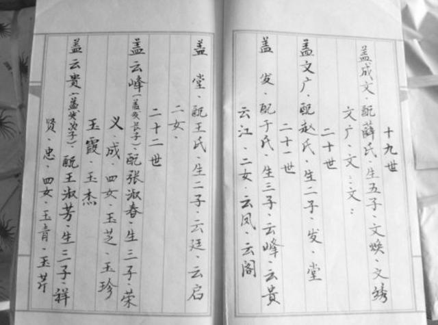 农村小孩起名有讲究，金木水火土缺一不可还得按辈分论！-第3张图片-90博客网