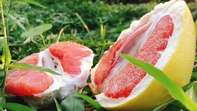 平和县红心柚子，用8年等来纯正好果，皮薄肉厚吃一次就喜欢上-第8张图片-90博客网
