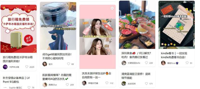 种的草还是挖的坑？流量焦虑下的小红书未来几何-第9张图片-90博客网