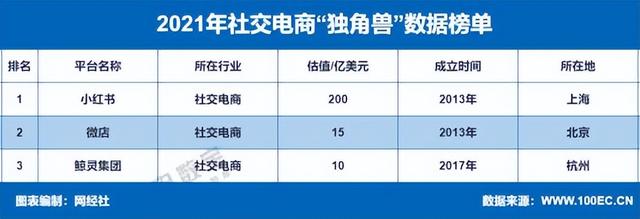 赛道玩家发展遇阻《2021年度中国社交电商市场数据报告》发布-第8张图片-90博客网