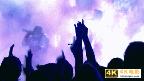 Z世代粉丝在天猫国际追星，“同款经济”正改变流行产业格局-第9张图片-90博客网