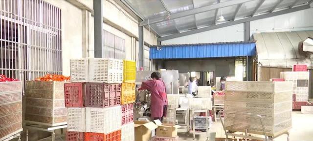 泰州:百家电商助农,打通农产品销售渠道-第3张图片-90博客网 泰州:百家电商助农,打通农产品销售渠道-第3张图片-90博客网