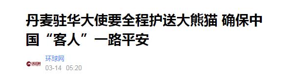 我柠檬了！这两只熊猫在丹麦被宠上天！-第7张图片-90博客网