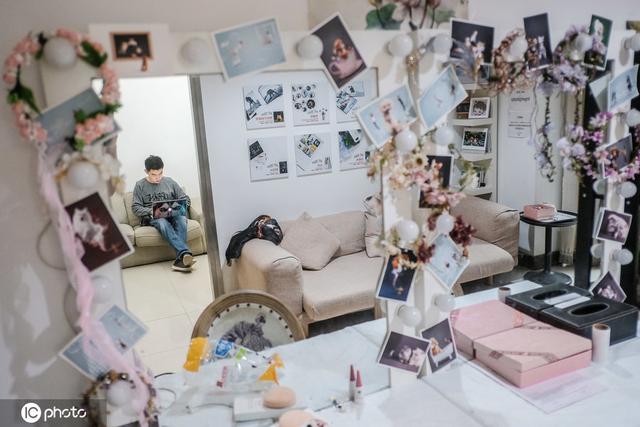 宠物摄影师免费为流浪狗拍写真 抹布狗华丽转身超萌的-第9张图片-90博客网