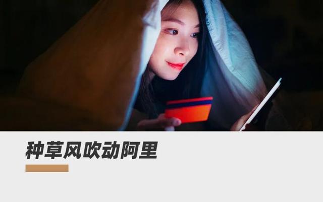 阿里再度发力社交电商，“态棒”种草模仿小红书？-第1张图片-90博客网