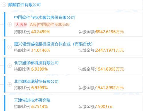 “软件国家队”营收首破百亿，净利率不足2%-第9张图片-90博客网