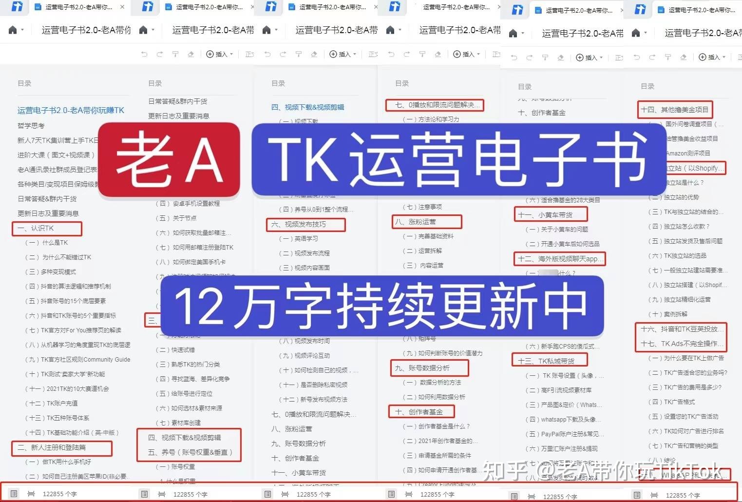 海外版抖音TikTok运营技巧-第1张图片-90博客网