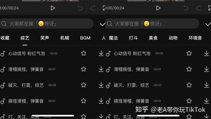 海外版抖音TikTok运营技巧-第18张图片-90博客网