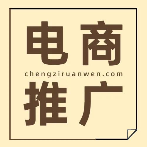 电商推广都有什么渠道-第1张图片-90博客网