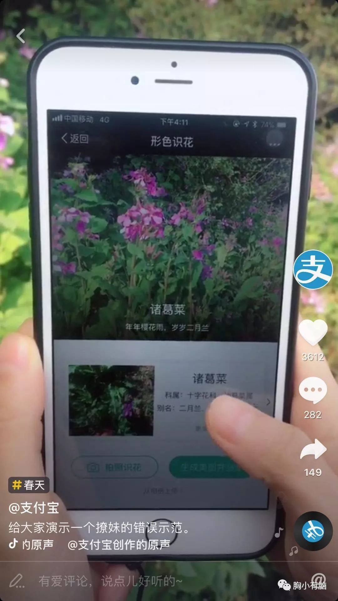 抖音怎么运营，品牌商家应该怎么运营好抖音？只需要这四大 ... ...-第4张图片-90博客网