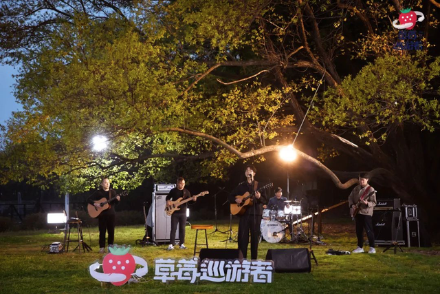 2700万人观看西城男孩直播，视频号会成为音乐宣推和变现的新阵地吗？-第5张图片-90博客网