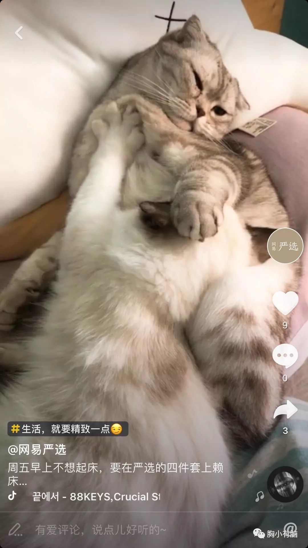 抖音怎么运营，品牌商家应该怎么运营好抖音？只需要这四大 ... ...-第7张图片-90博客网