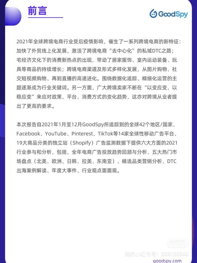 2021年独立站电商营销报告-GoodSpy(附下载)-第3张图片-90博客网