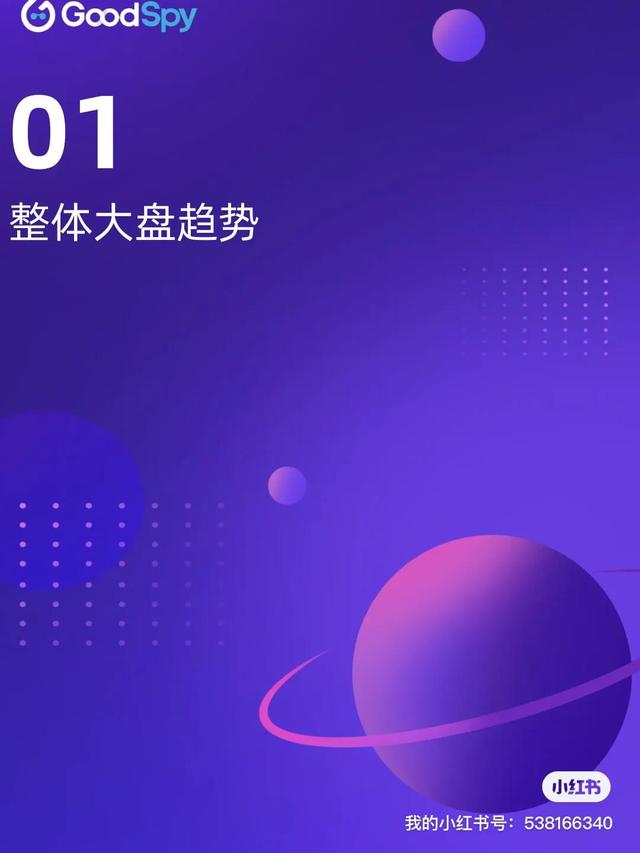 2021年独立站电商营销报告-GoodSpy(附下载)-第5张图片-90博客网