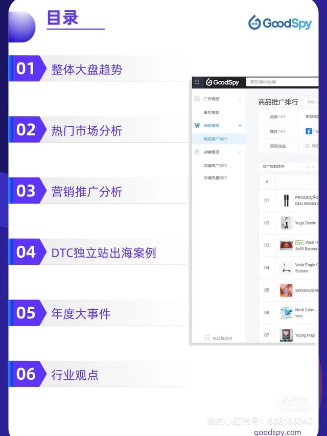 2021年独立站电商营销报告-GoodSpy(附下载)-第2张图片-90博客网