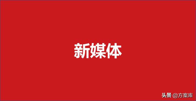395双微一抖小红书营销方案（30份）-第1张图片-90博客网
