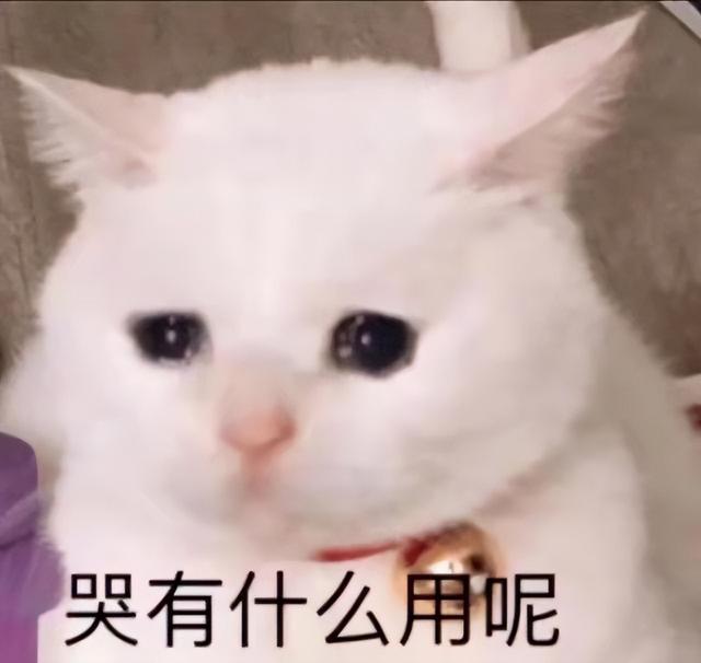 小红书运营攻略丨初学者从0-10000应该怎么做？-第2张图片-90博客网