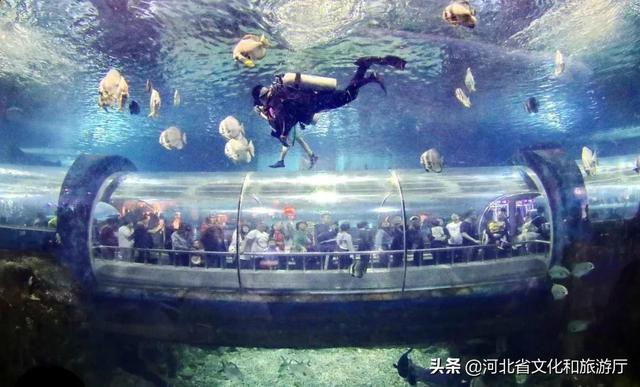 秦皇岛、山海关、北戴河,谁属于谁?-第23张图片-90博客网 秦皇岛、山海关、北戴河,谁属于谁?-第23张图片-90博客网