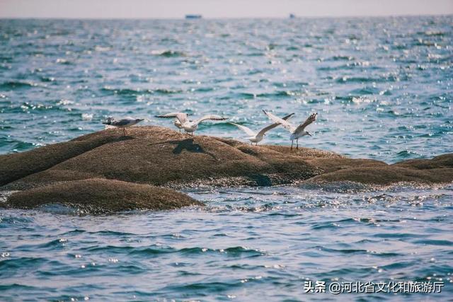 秦皇岛、山海关、北戴河,谁属于谁?-第32张图片-90博客网 秦皇岛、山海关、北戴河,谁属于谁?-第32张图片-90博客网