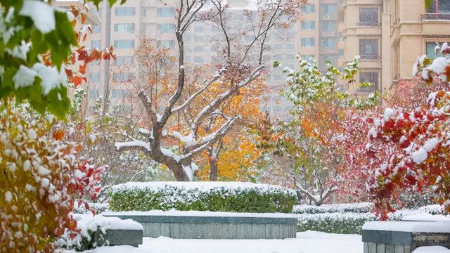 秦皇岛初雪！惊艳四方的美景都在这儿了~-第7张图片-90博客网