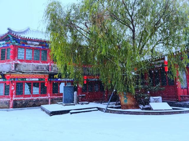 秦皇岛初雪！惊艳四方的美景都在这儿了~-第12张图片-90博客网