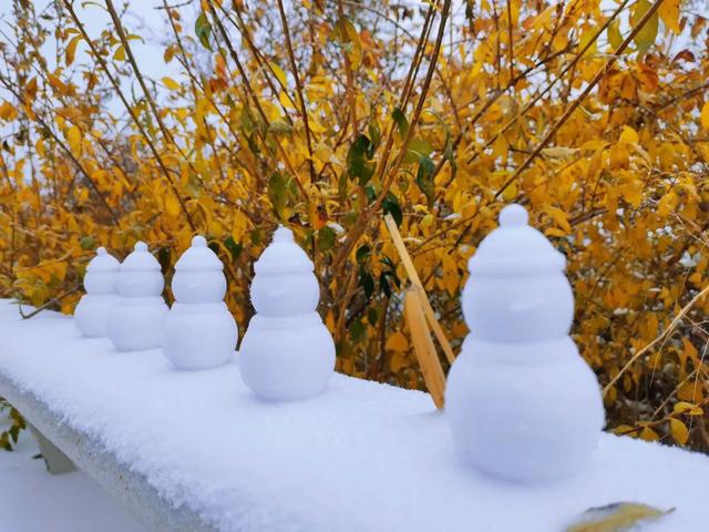 秦皇岛初雪！惊艳四方的美景都在这儿了~-第18张图片-90博客网