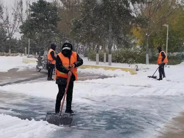 秦皇岛初雪！惊艳四方的美景都在这儿了~-第23张图片-90博客网