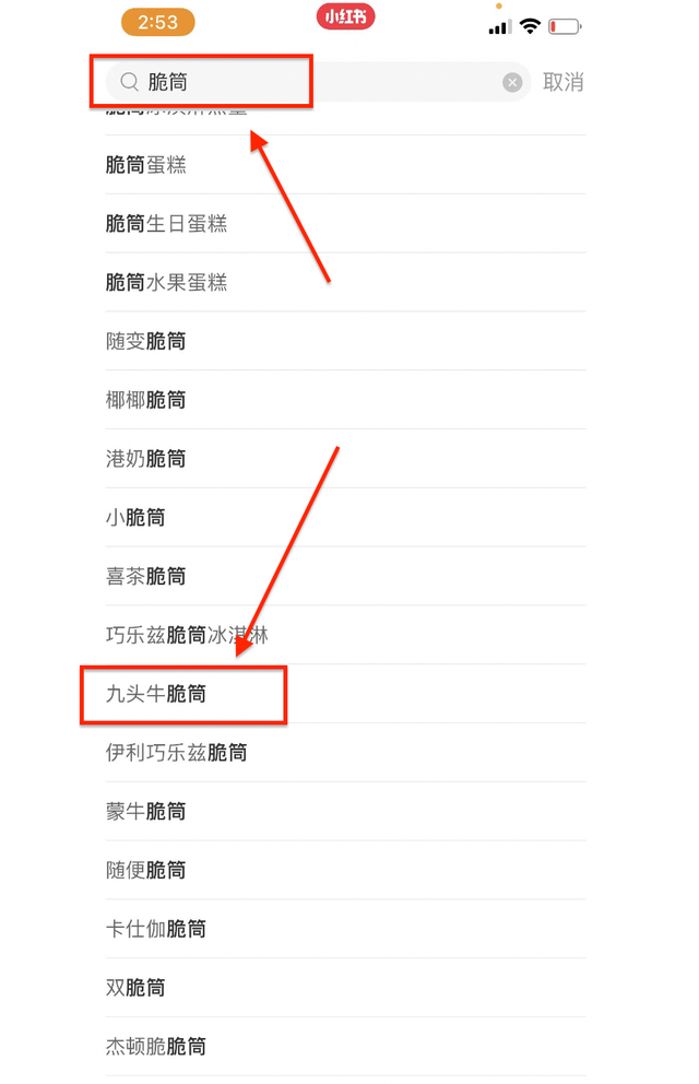 小红书推广怎么做？看「九头牛」雪糕0投入冷启动-第4张图片-90博客网