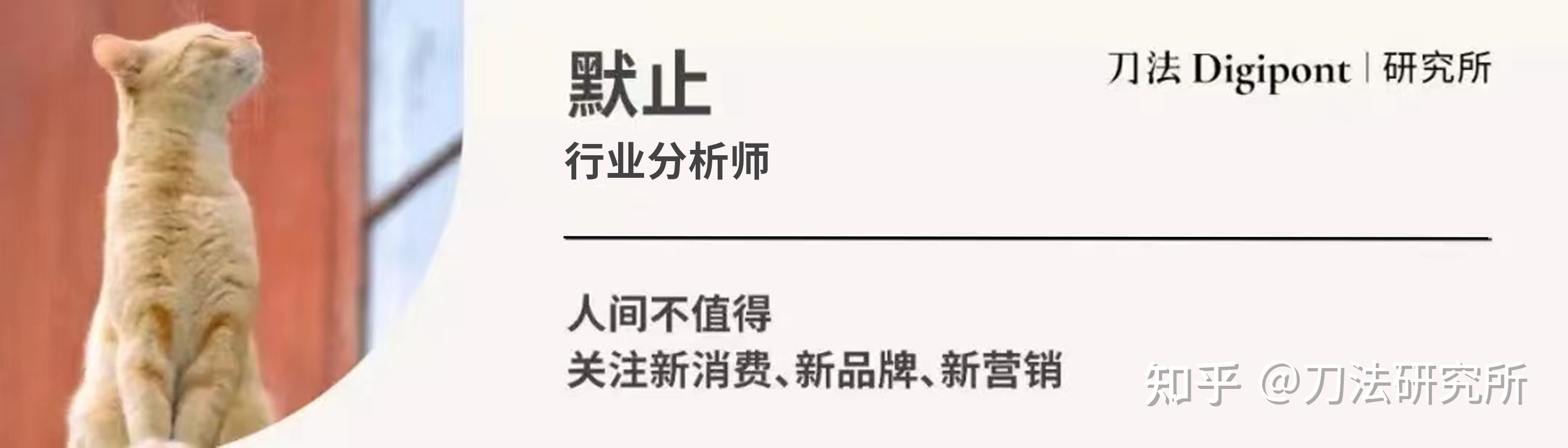 同等预算、50倍流量，视频号为什么更适合情绪营销？| 营销观察 ...-第3张图片-90博客网
