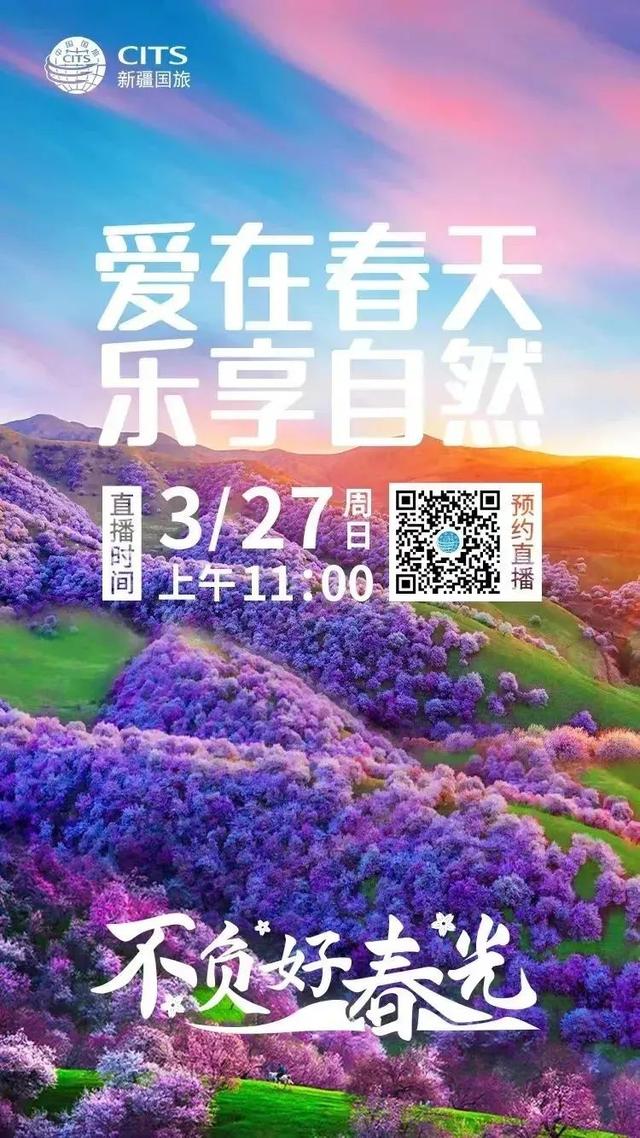 抓住微信视频号营销机遇 高效打造“强品牌”-第11张图片-90博客网
