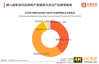 95后妈妈群体行为习惯洞察报告：95后妈妈爱健康也爱美丽-第19张图片-90博客网