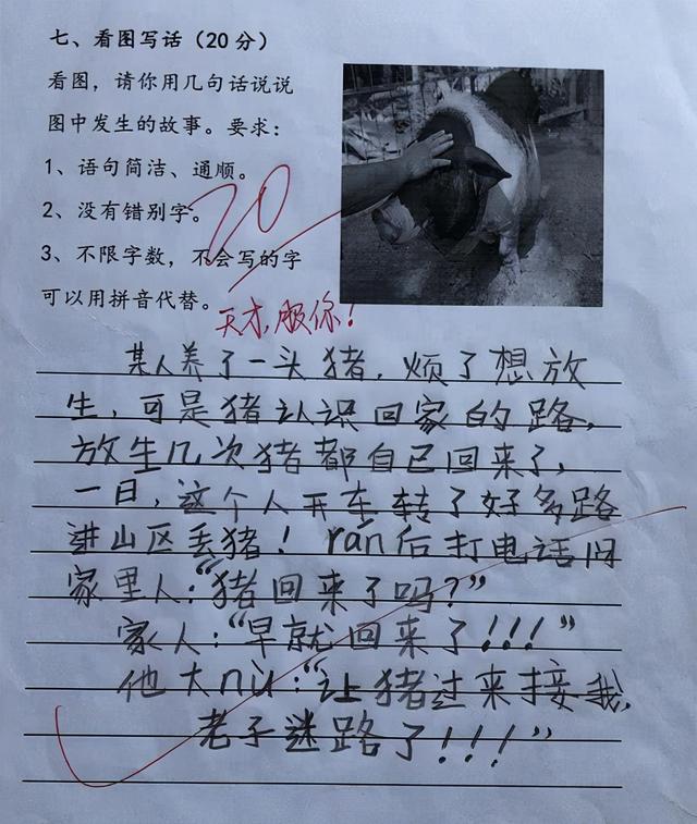 小学生作文《孤独》走红，全文不提孤独二字，却让老师红了眼眶-第5张图片-90博客网
