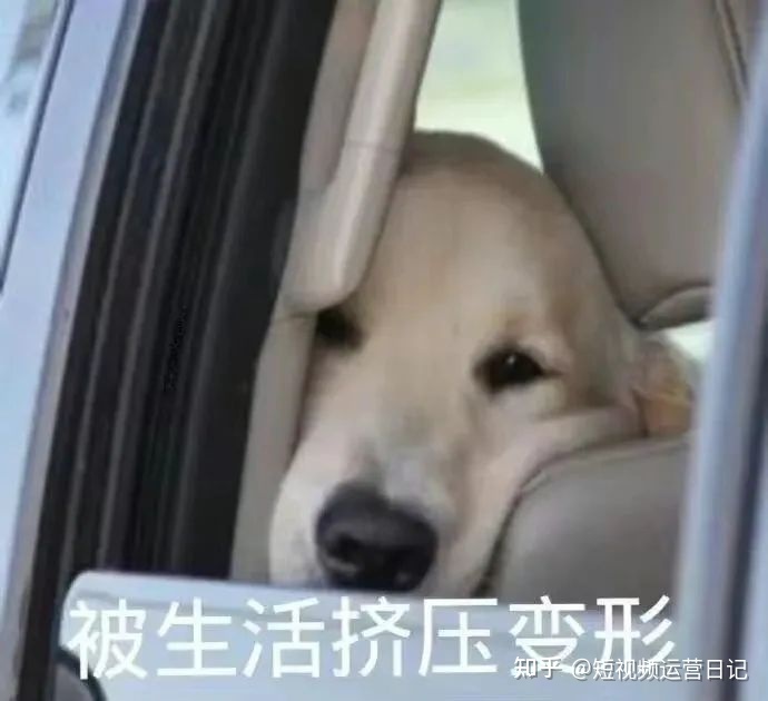 零基础能做短视频运营吗?-第1张图片-90博客网 零基础能做短视频运营吗?-第1张图片-90博客网
