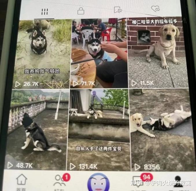 从哪几个方向运营短视频才能获取收益?-第2张图片-90博客网 从哪几个方向运营短视频才能获取收益?-第2张图片-90博客网