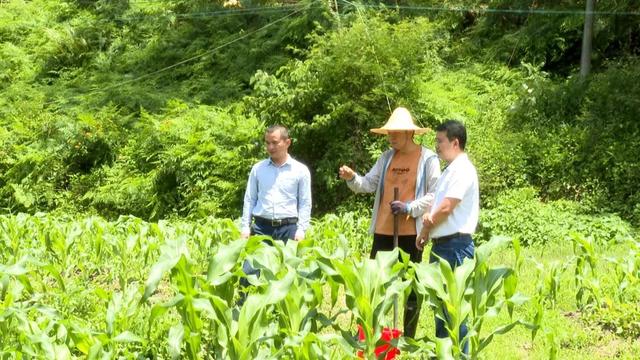 从坐等顾客到网络营销，潭布通过电商快车让农产品顺利出村进城-第3张图片-90博客网