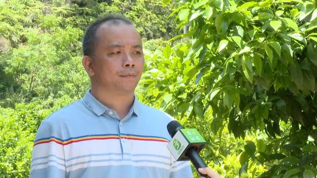 从坐等顾客到网络营销，潭布通过电商快车让农产品顺利出村进城-第4张图片-90博客网