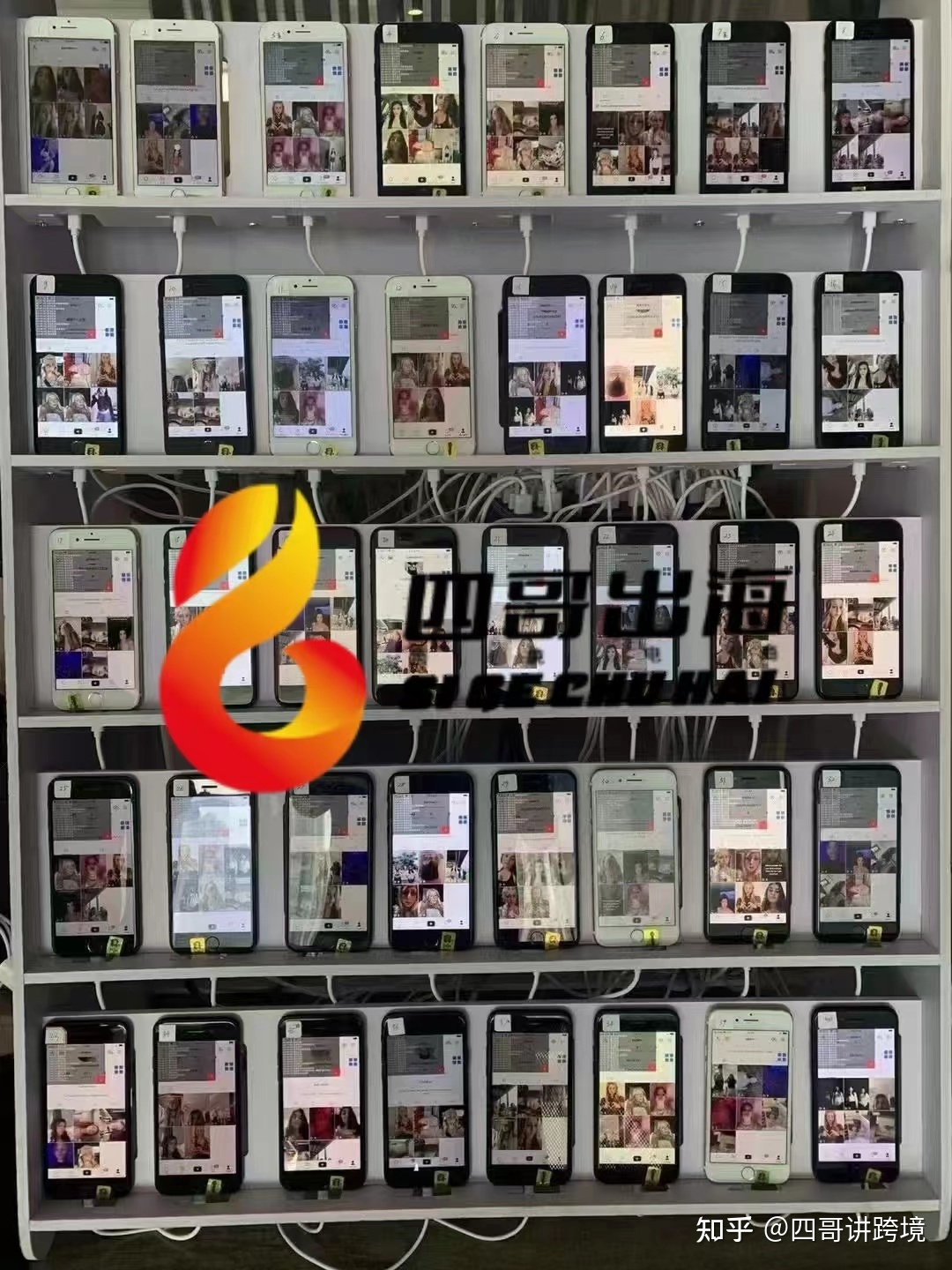 2022 年tiktok苹果/安卓下载详细教程（附带tiktok运营资料）-第1张图片-90博客网