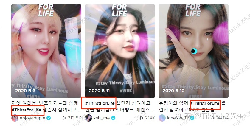 海外红人营销法宝篇：TikTok红人营销模式你了解吗？-第12张图片-90博客网