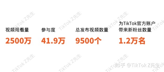 海外红人营销法宝篇：TikTok红人营销模式你了解吗？-第13张图片-90博客网