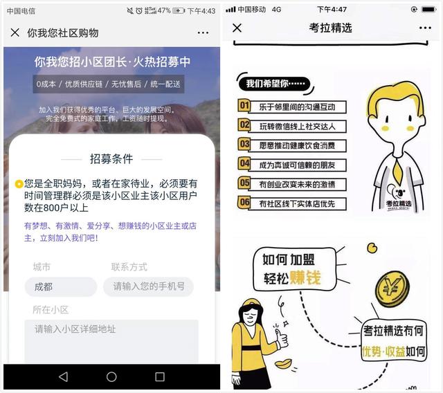 社区团购：社交电商的最优解？-第2张图片-90博客网