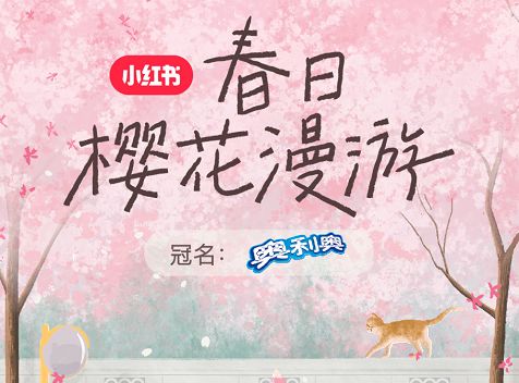 小红书品牌营销案例-第13张图片-90博客网 小红书品牌营销案例-第13张图片-90博客网