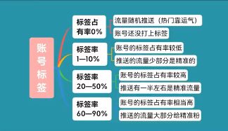 短视频账号运营实战手册、如何从0快速起号全流程-第4张图片-90博客网 短视频账号运营实战手册、如何从0快速起号全流程-第4张图片-90博客网