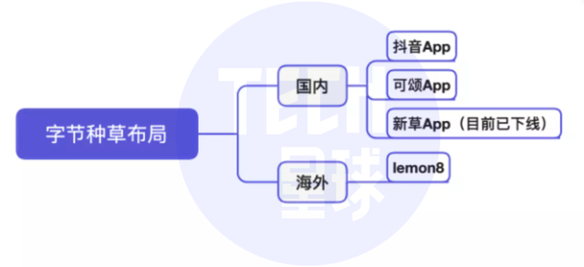 独家丨抖音将推独立种草App“可颂”,字节忘不掉小红书?-第4张图片-90博客网 独家丨抖音将推独立种草App“可颂”,字节忘不掉小红书?-第4张图片-90博客网