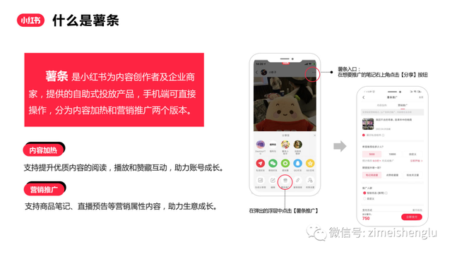 小红书薯条大改版之际，重新全面解读薯条的营销策略-第4张图片-90博客网