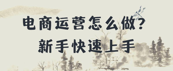 电商运营怎么做？新手快速上手，实现收益-第1张图片-90博客网