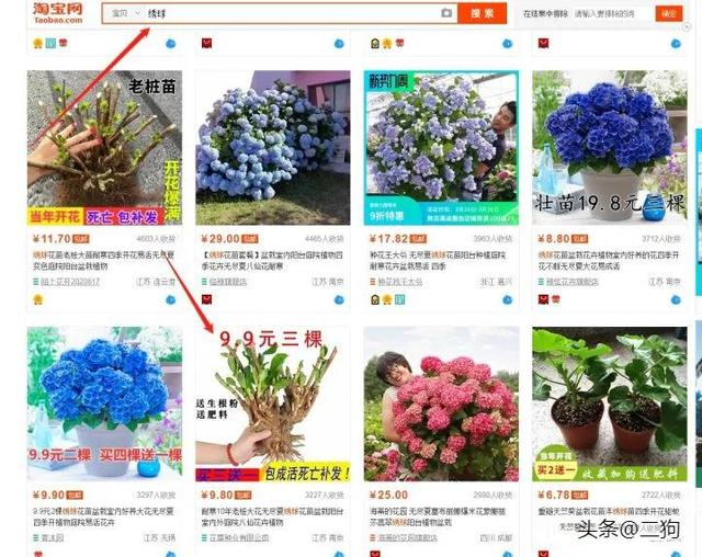 电商运营从小白到总监,从月薪3K-3W,你必须要掌握的知识都在这-第6张图片-90博客网 电商运营从小白到总监,从月薪3K-3W,你必须要掌握的知识都在这-第6张图片-90博客网