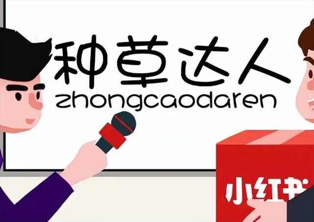 小红书种草达人类型有哪些？不同粉丝量达人等级划分-第1张图片-90博客网
