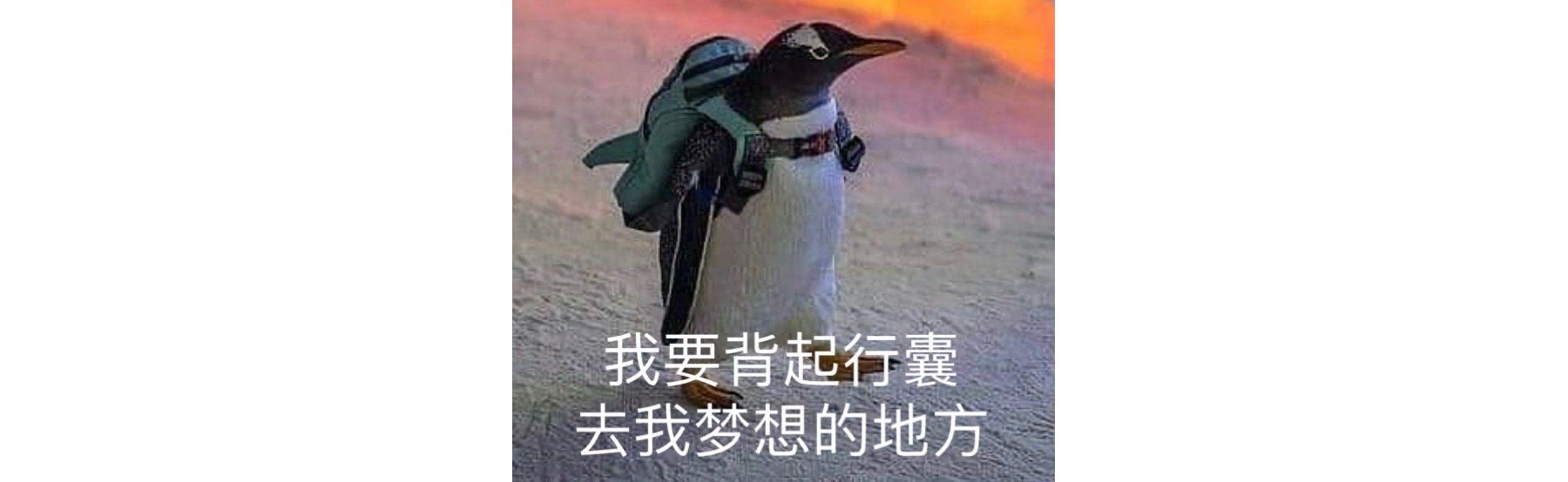 十倍效率!自媒体运营用这些工具,工作效率瞬间翻倍-第2张图片-90博客网 十倍效率!自媒体运营用这些工具,工作效率瞬间翻倍-第2张图片-90博客网